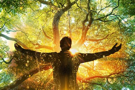 The Tree of Noehere: Connecting with Nature's Healing Power